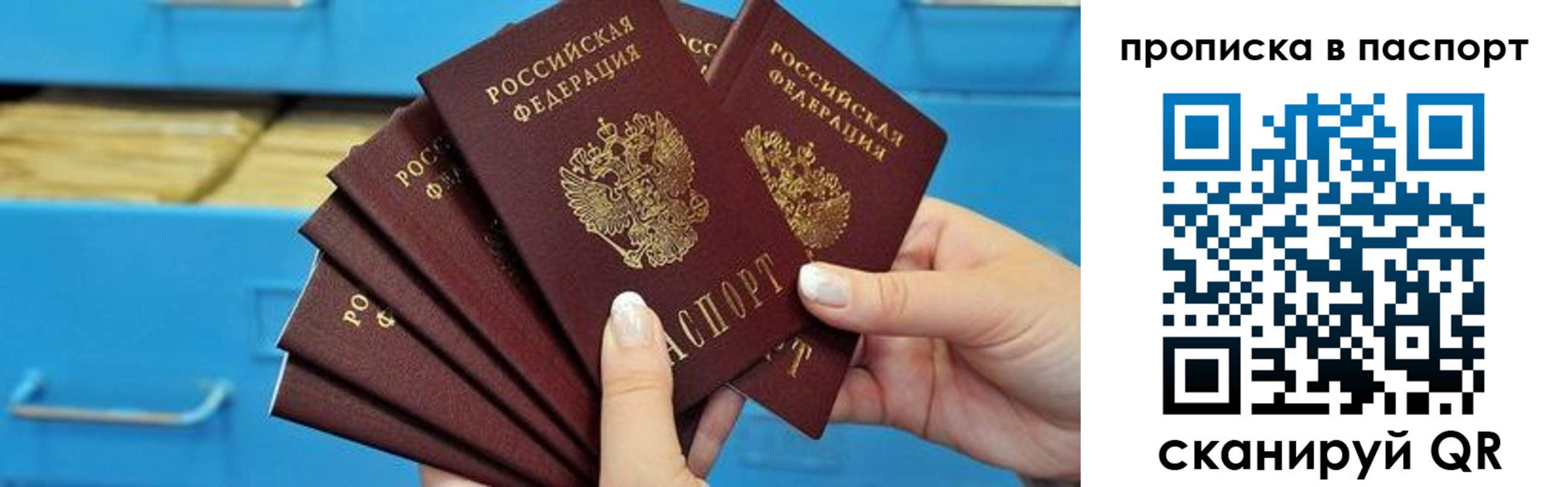 прописка в Александровске